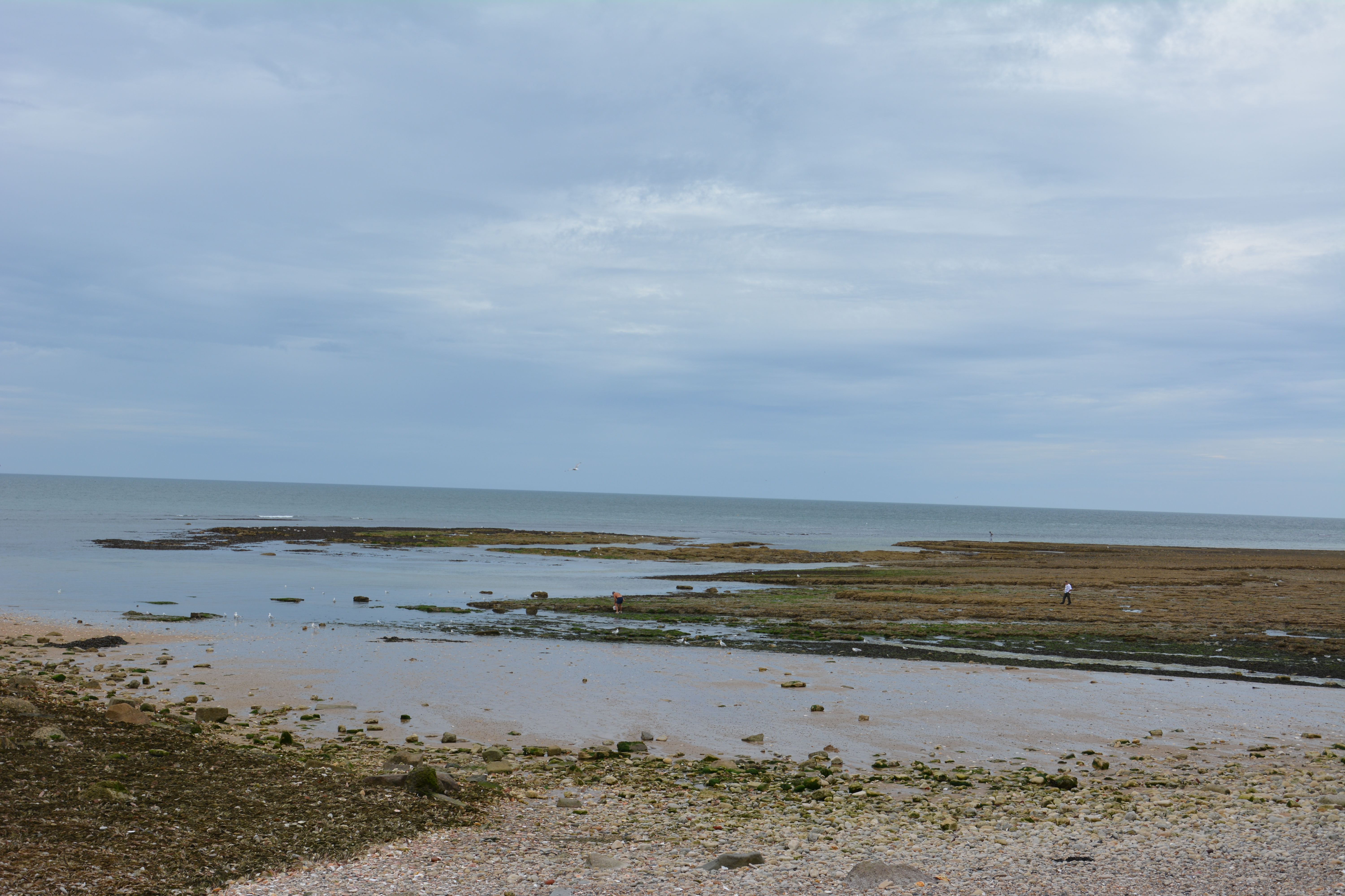dsc_0167