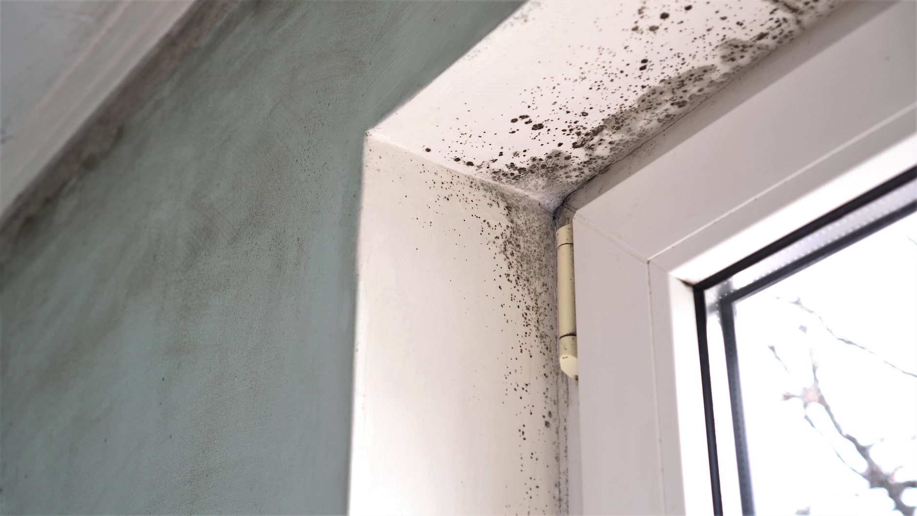 Mold found in a student housing doorway in College Station,, TX.