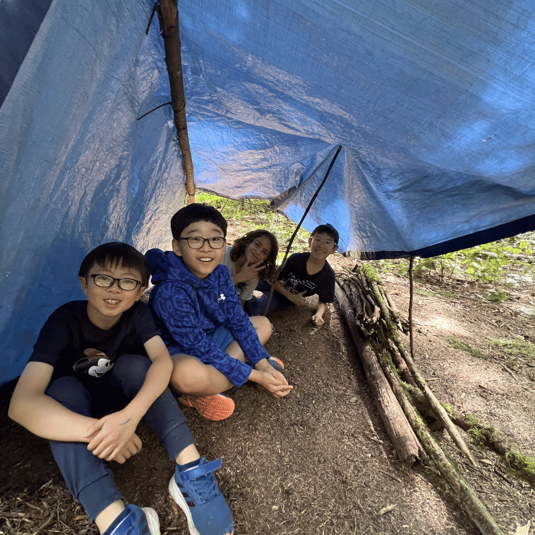 Shelter Building