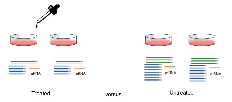 Background Knowledge For The Tidy Transcriptomics Workshop - Professional Minimal Design - High Resolution