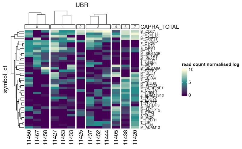 Github Stemangiola Zhejiang2020 - Download Premium Colorful Pattern | HD
