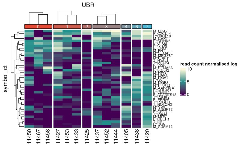 Github Dolong2 Custom Annotation - Perfect Full HD Space Images | Free Download
