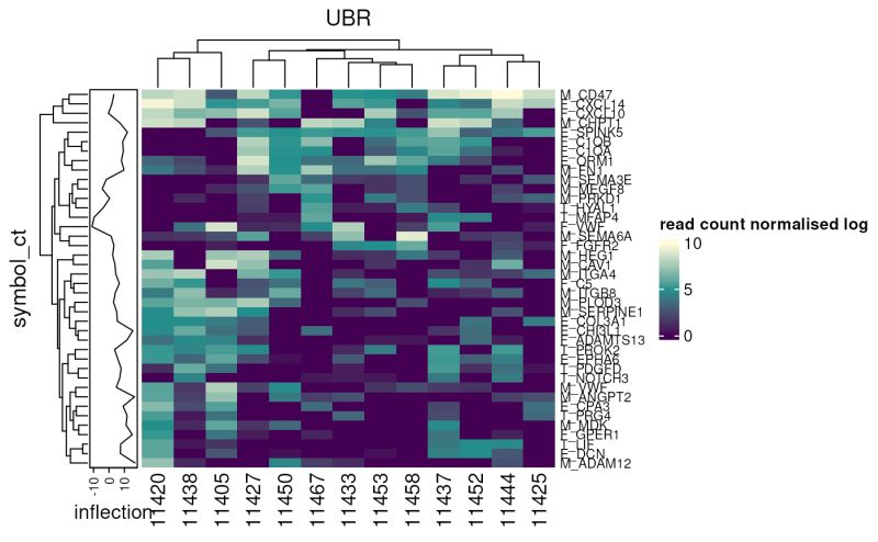Simple Annotation Anno Simple Complexheatmap - Download Elegant Colorful Pattern | 4K