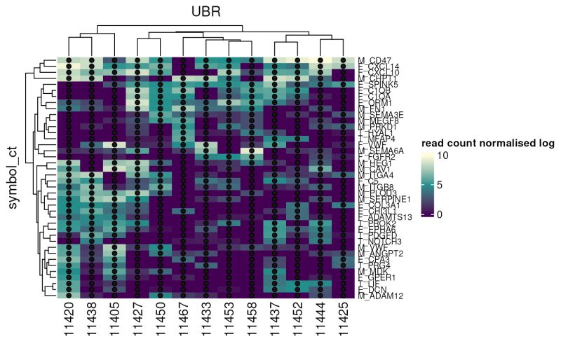 Feature Request Layer Symbol Issue 105 Stemangiola Tidyheatmap Github - Minimal Design Collection - Full HD Quality