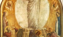 Transfiguration (1)