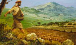Parable sower