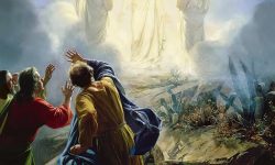 Transfiguration-bloch