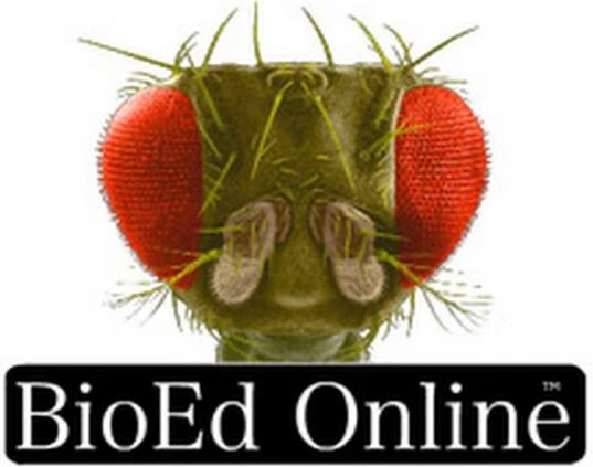 Bioed Online Science Teacher Resources Stemfinity