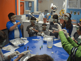 Camps Stemtree