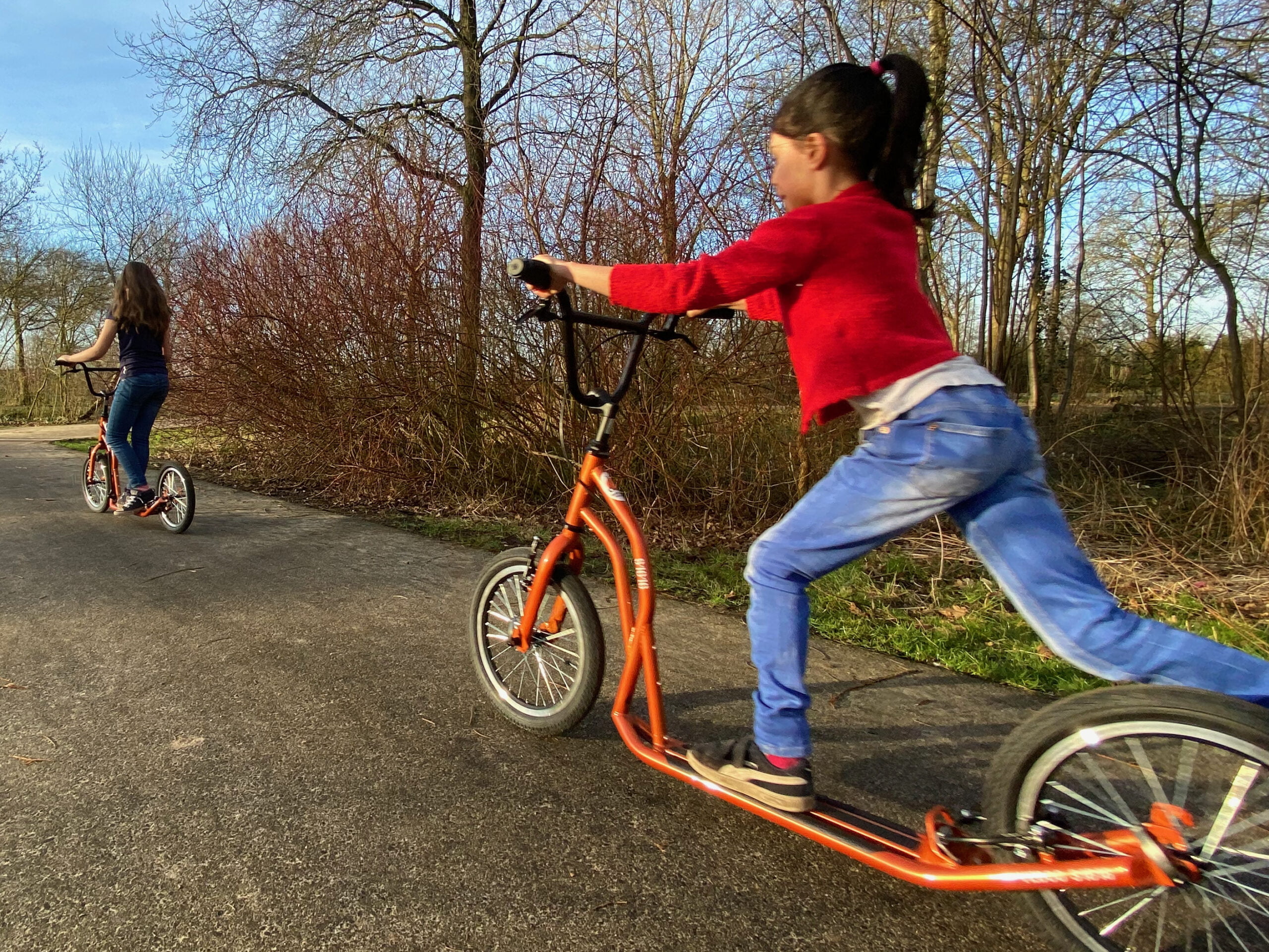 Step verhuur op de Veluwe 8 Yedoo step huren