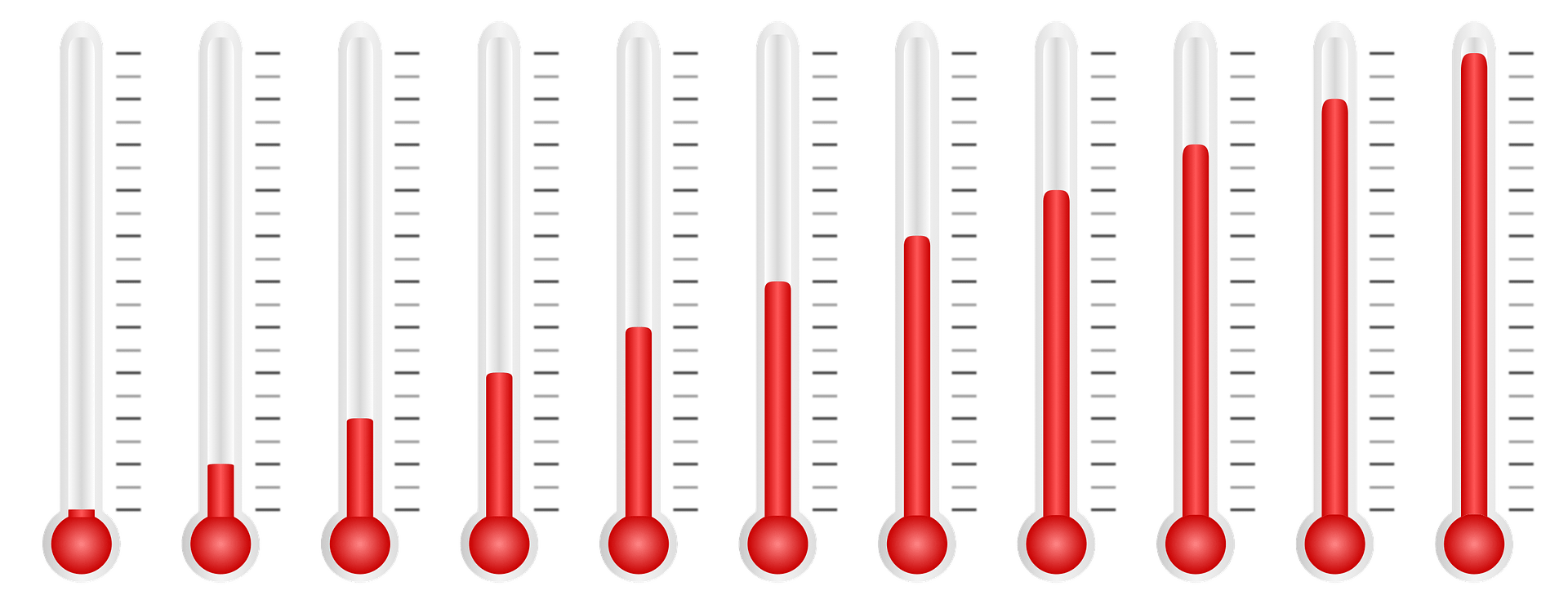 Read more about the article The Baseline