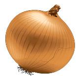 oignon
