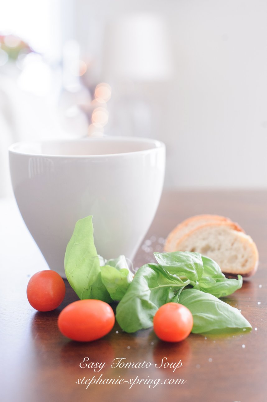 Easy Tomato Soup stephanie-spring.com