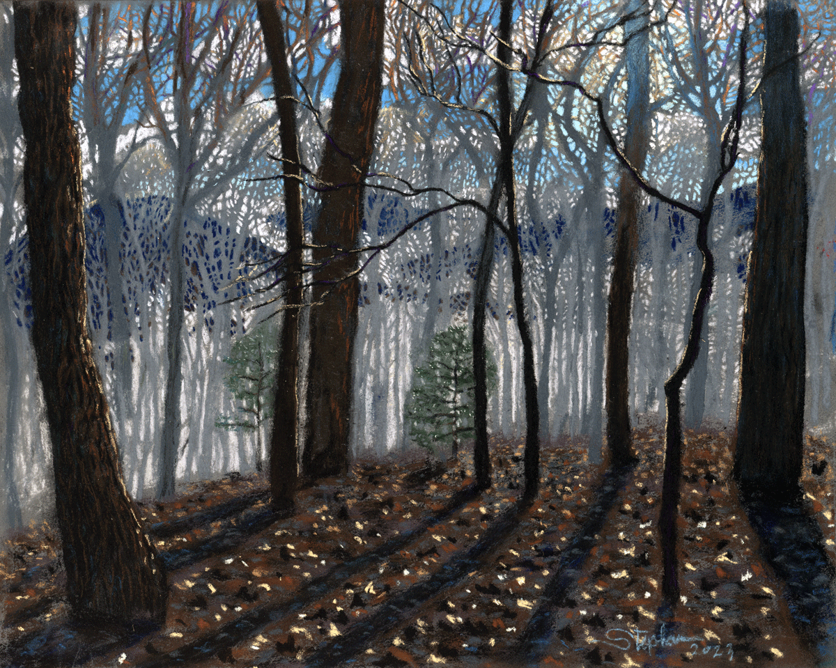 a depiction of a winter forest at mid-morning with fog in the valleys below and clearing blue skies by Stephanie Thomas Berry