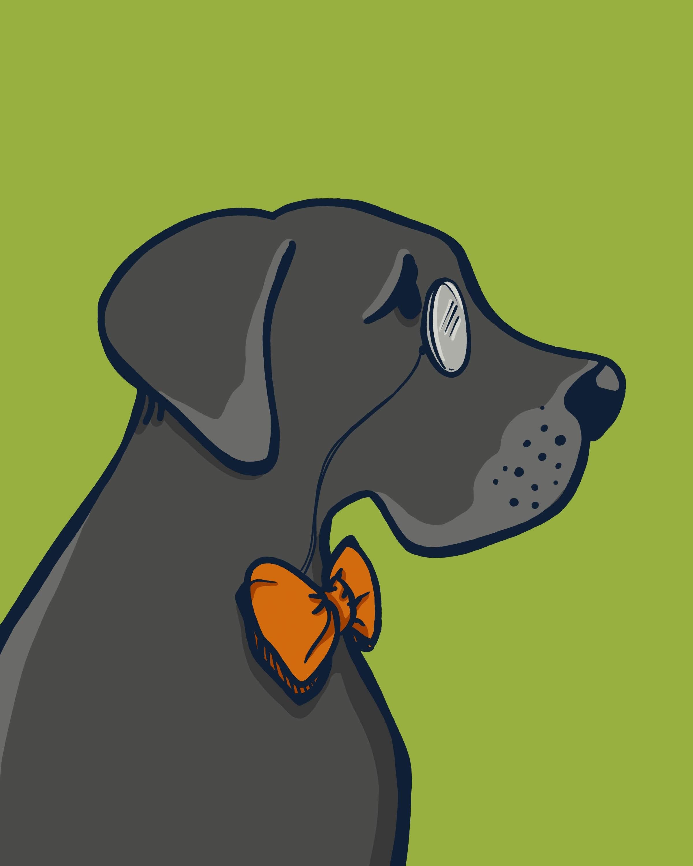 dogs-3