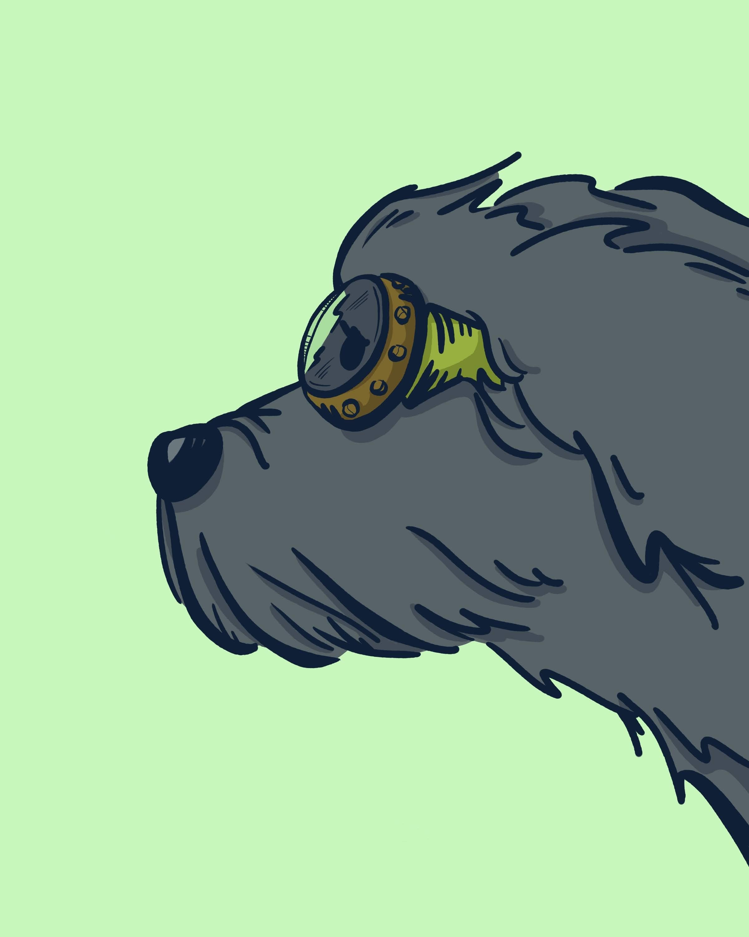dogs-5