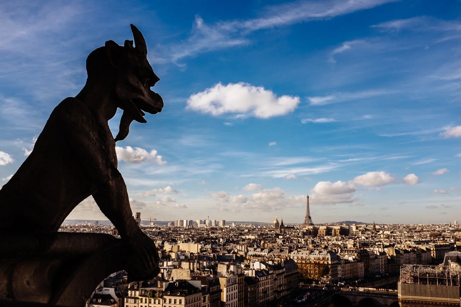 View from the towers at Notre Dame Cathedral
