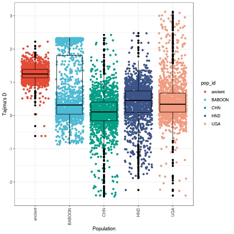 Angsd Ancient Trichuris - Incredible Mountain Texture - HD