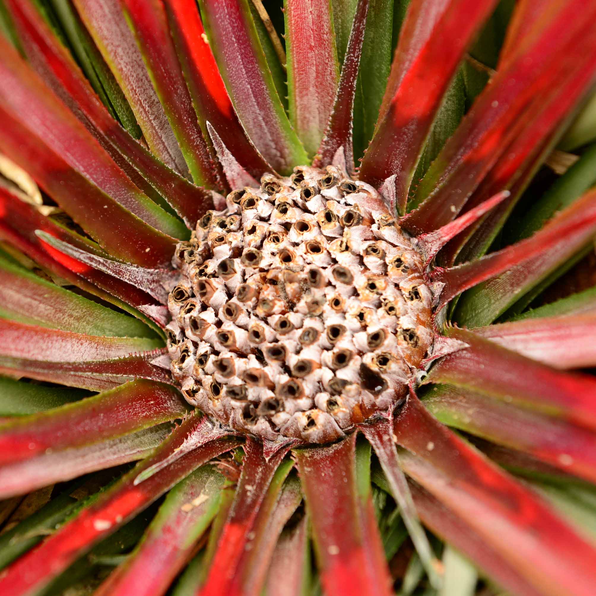 DSC_6498-6