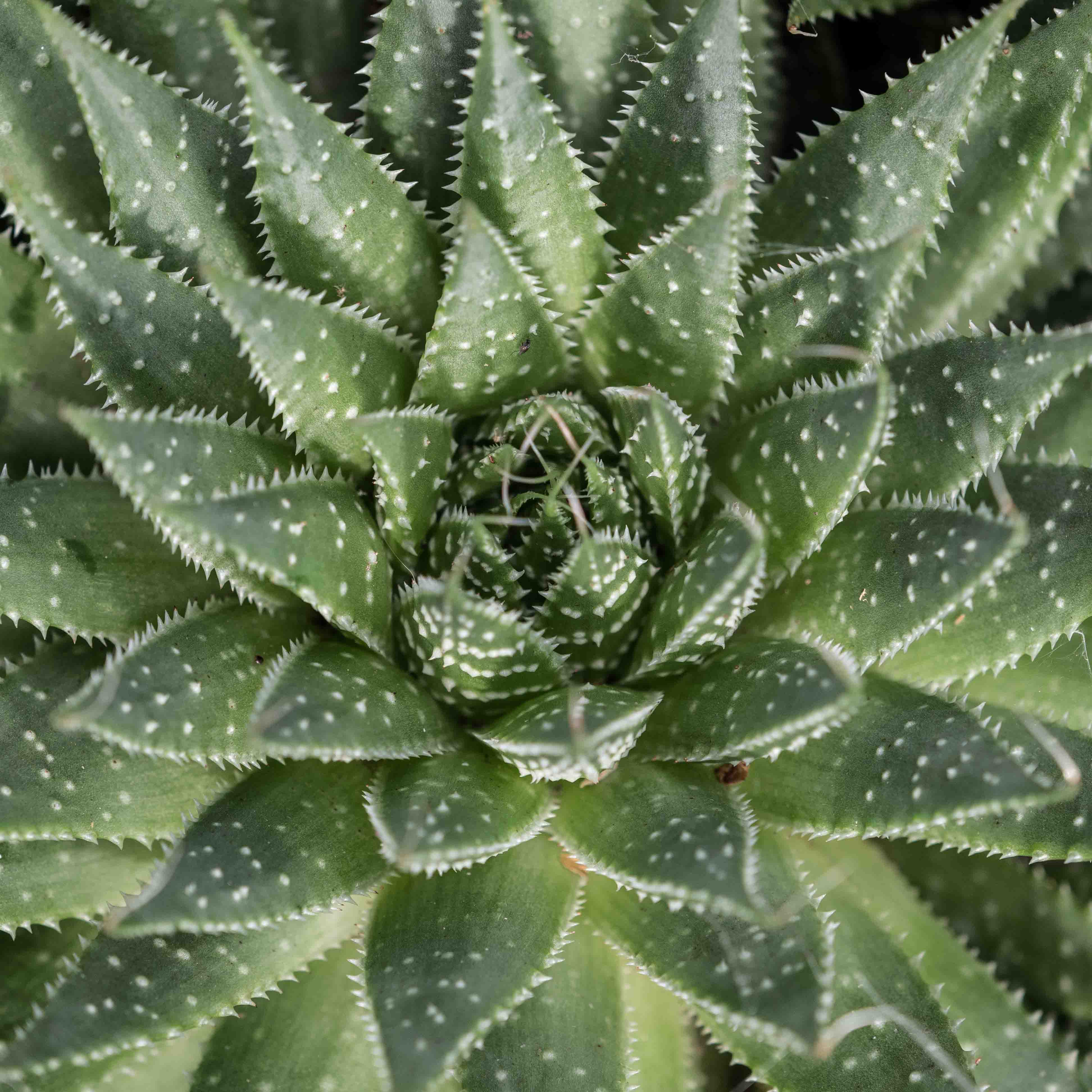 P4161491-44