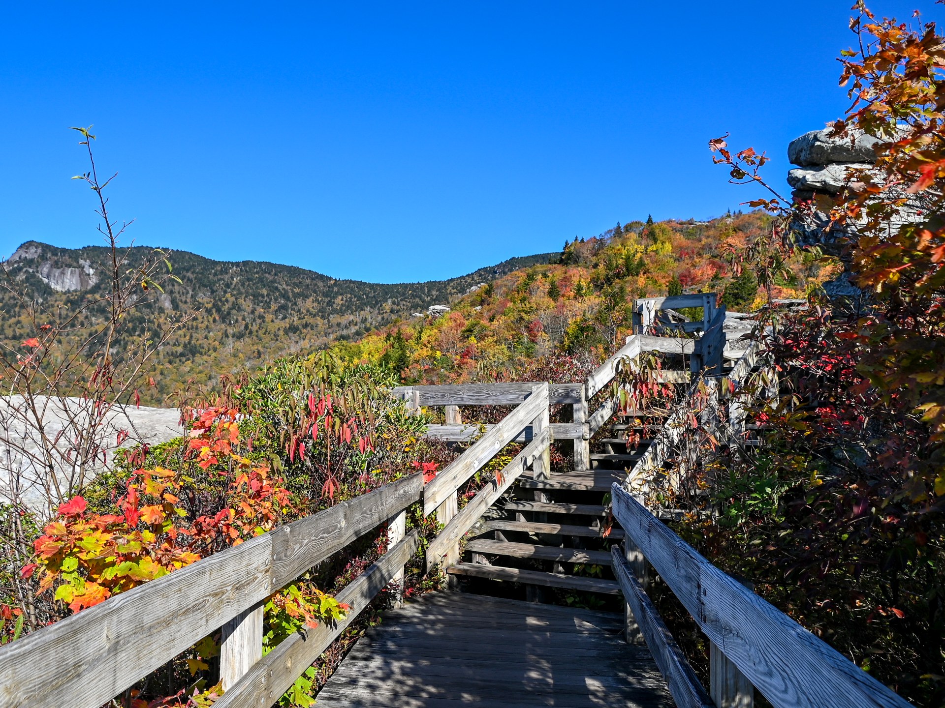 Turn on Rough Ridge boardwalk