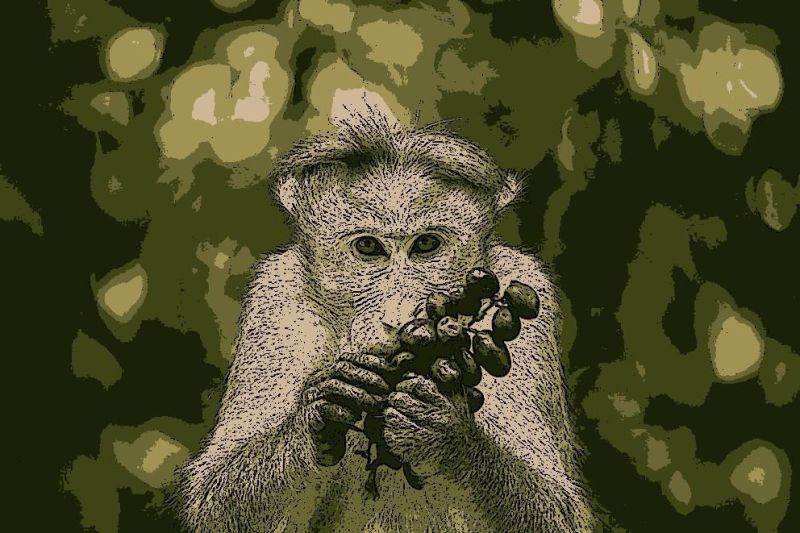 Is Java Multi Threading Synchronous Or Asynchronous Quora - Retina Sunset Textures for Desktop