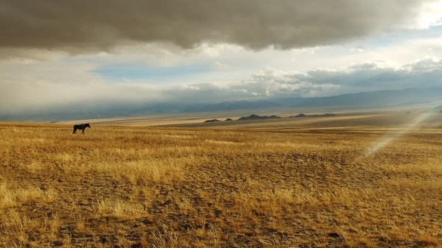 Altai gebergte