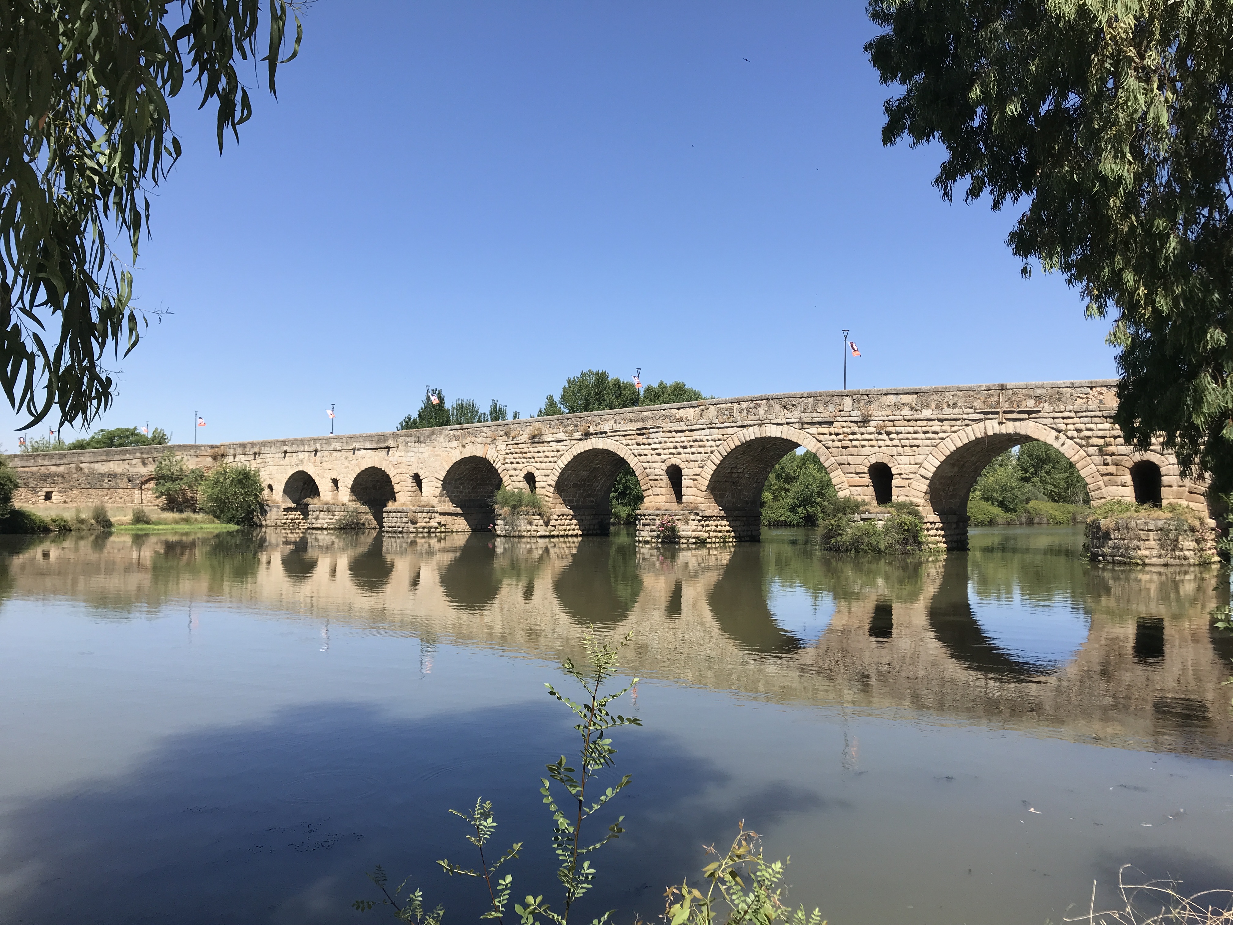 1E3E77BD-4A69-4FDB-B983-CFA74F1F6AB9