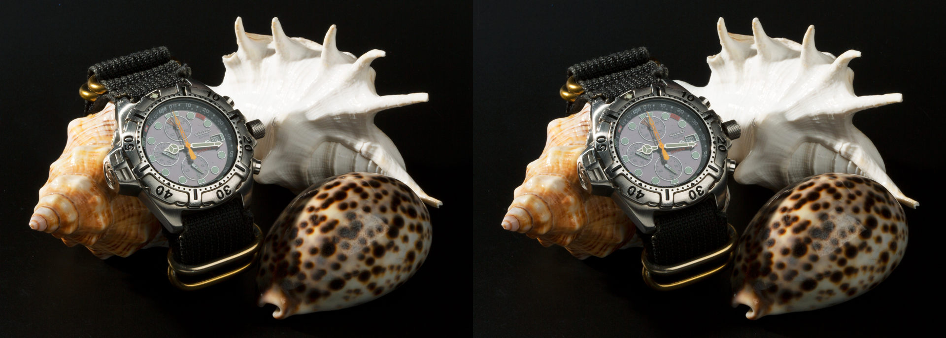 Dive Watch 3D - Parallel