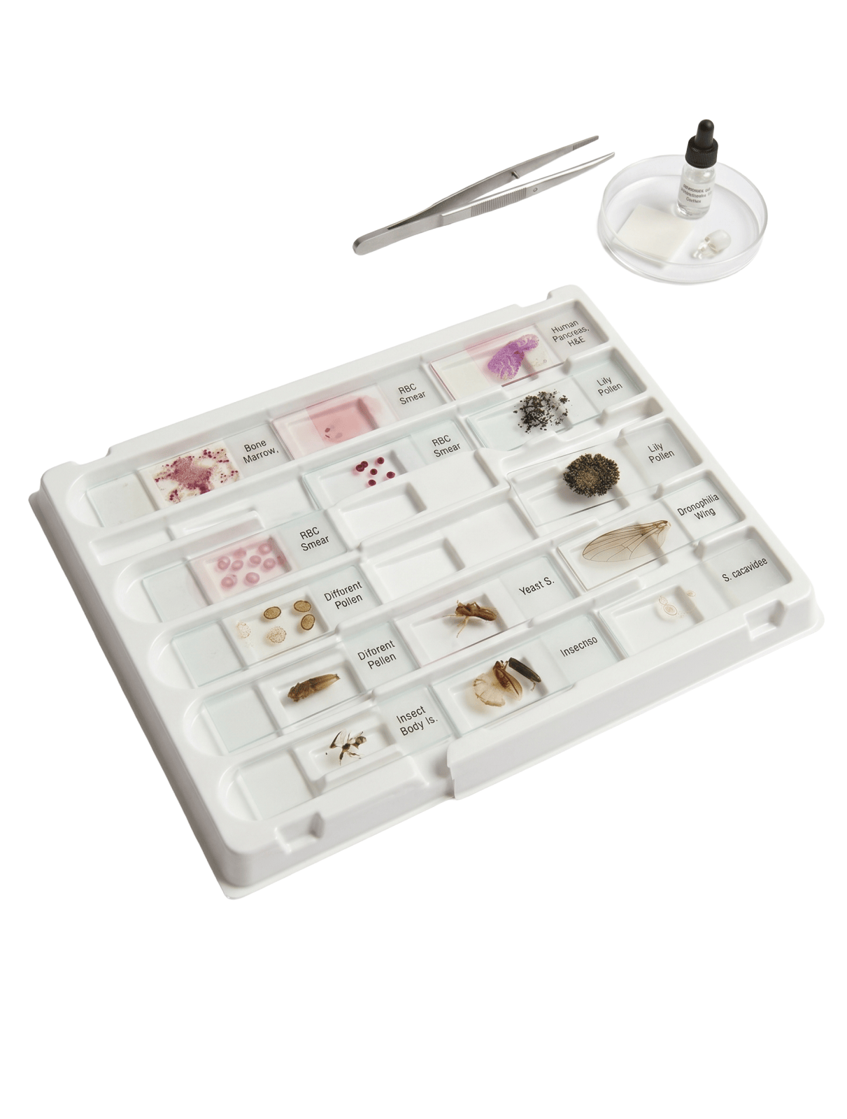 Bandeja para portaobjetos de microscopio, poliestireno, paquete de 6