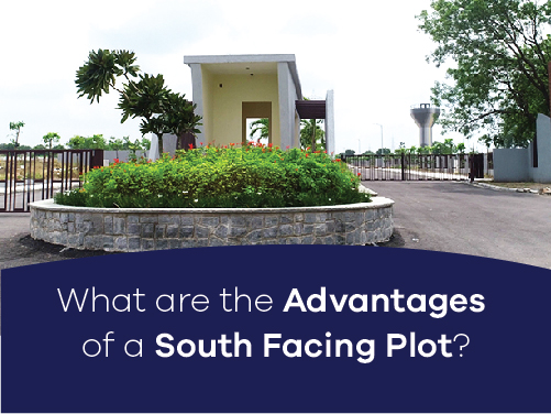 What are the advantages of a south facing plot?