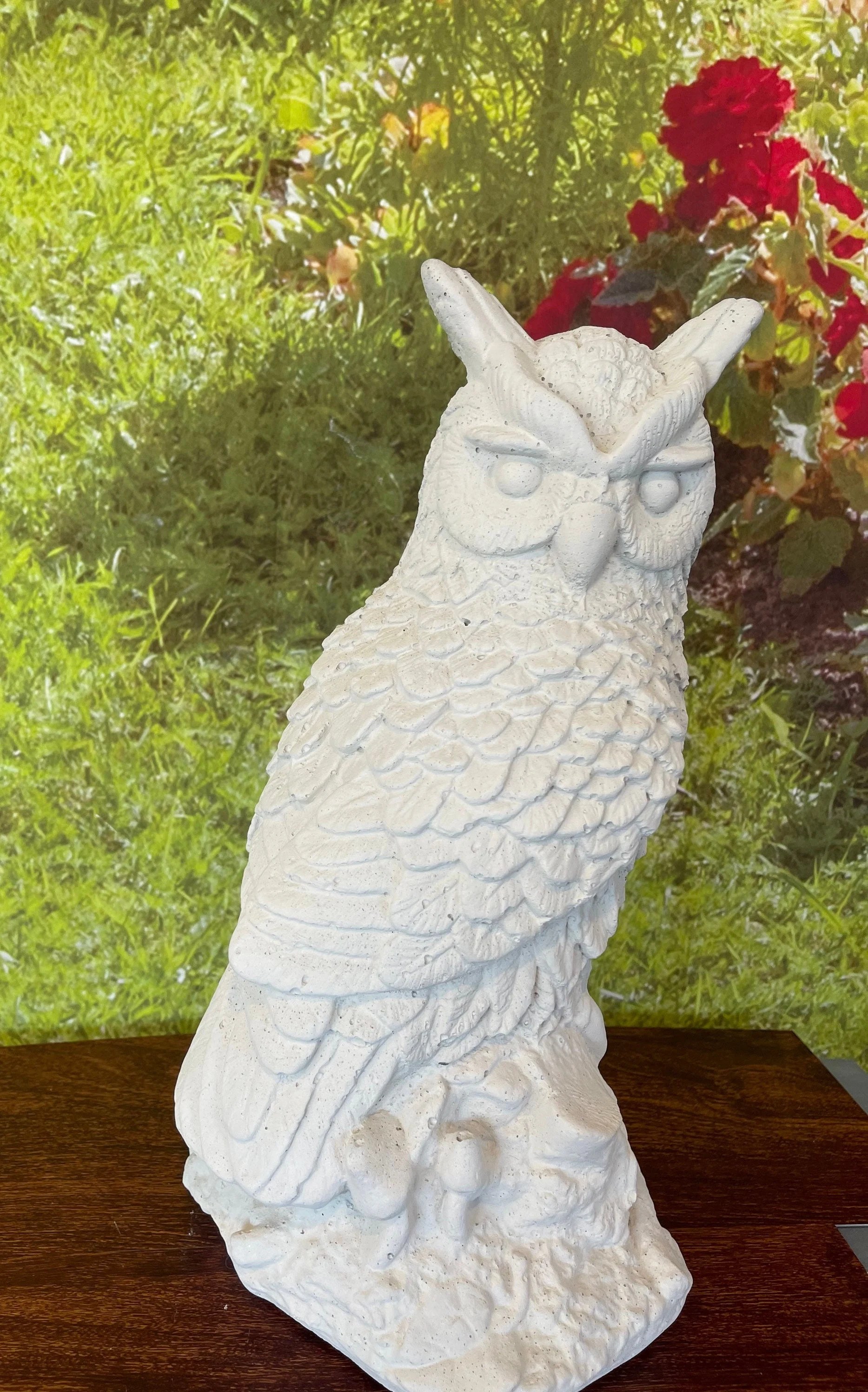 Big owl
