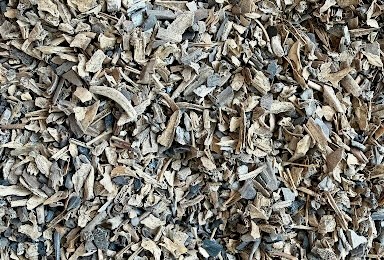 Archaeologists dig deep to unlock evidence of humans from 5,000