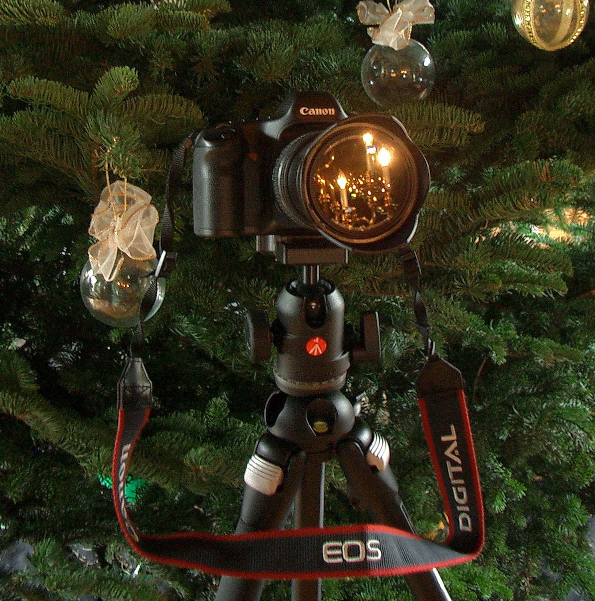 Santa Rocks!