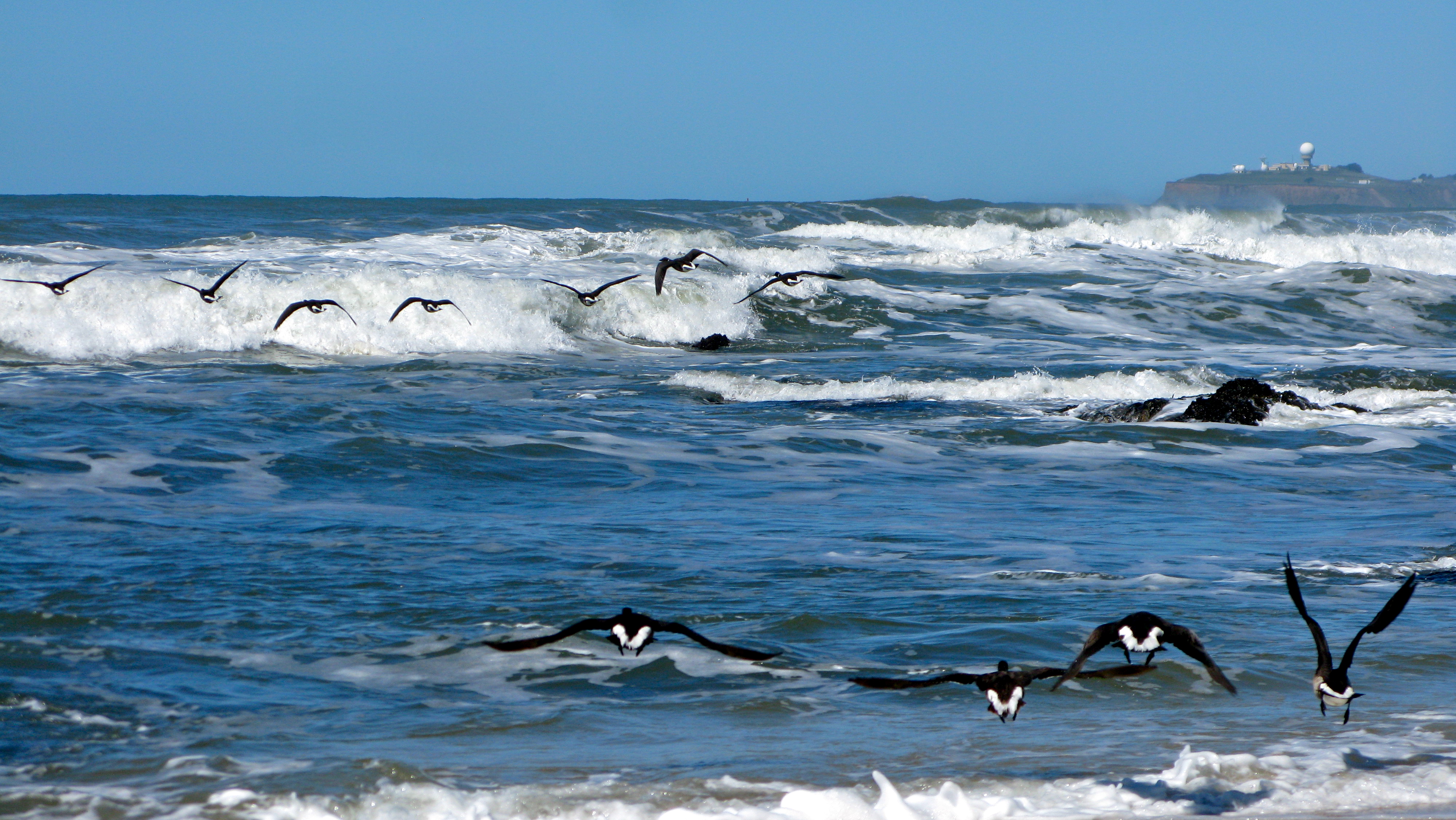 Wave Riders