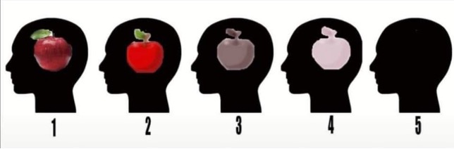Steve Blank Apple visualization