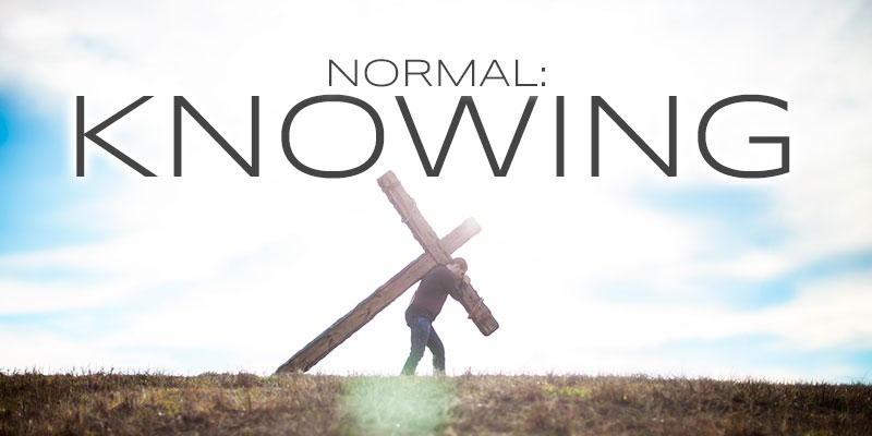 NormalHeader2