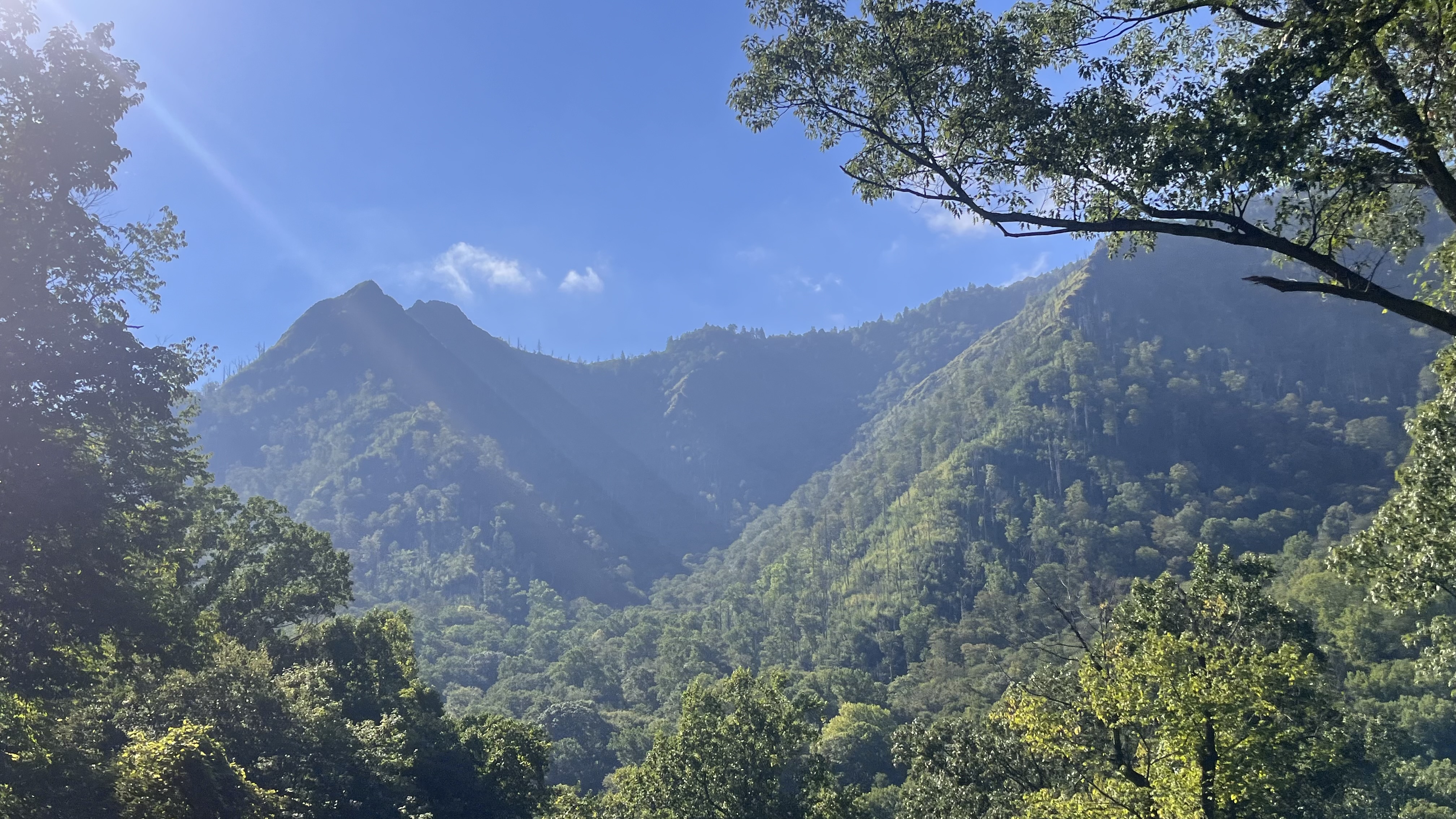 Featured image for “Chapter 2: The Way Out Of Problems?”