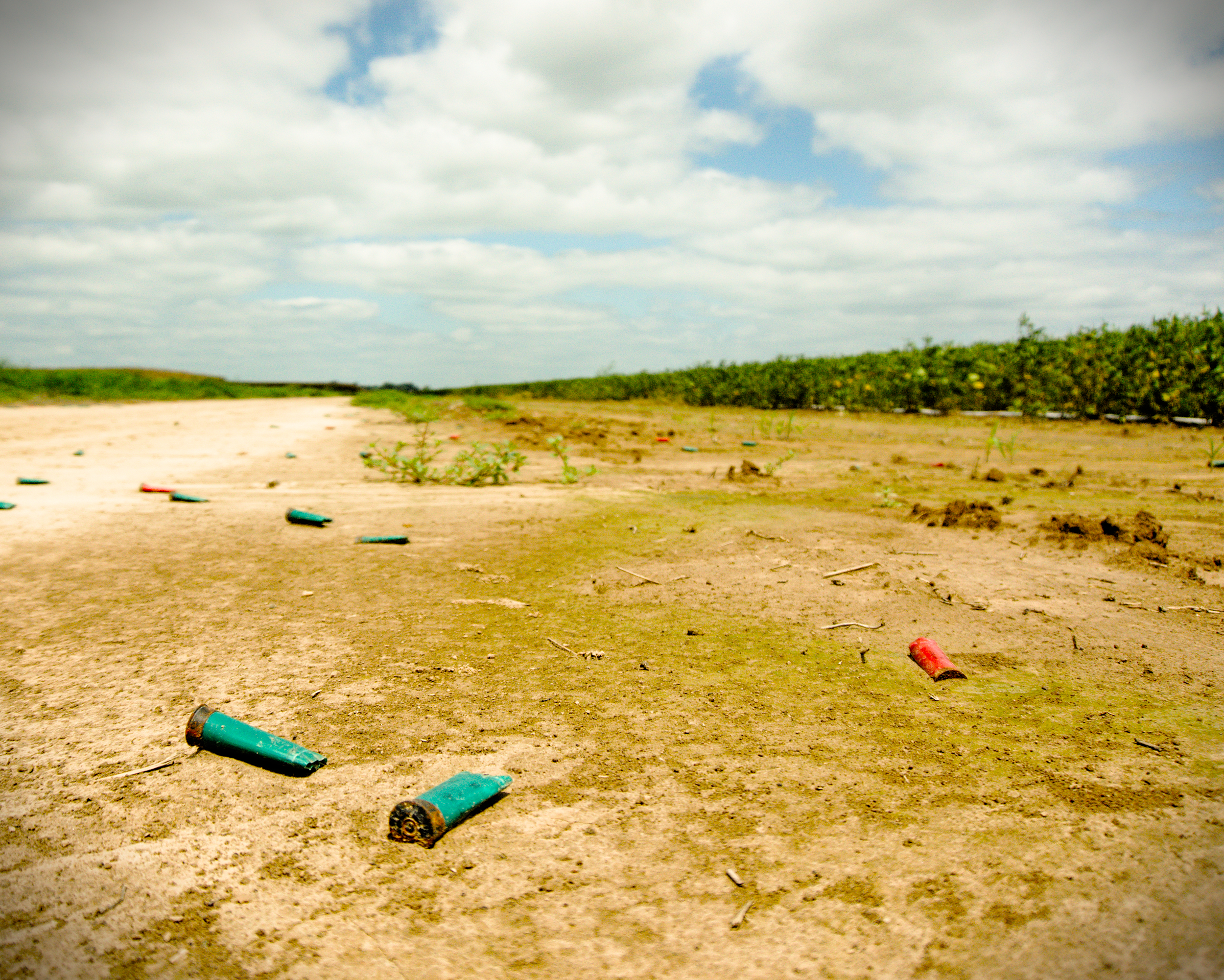 Shotgun shells on the ground next to a soybean field near Bonita LA