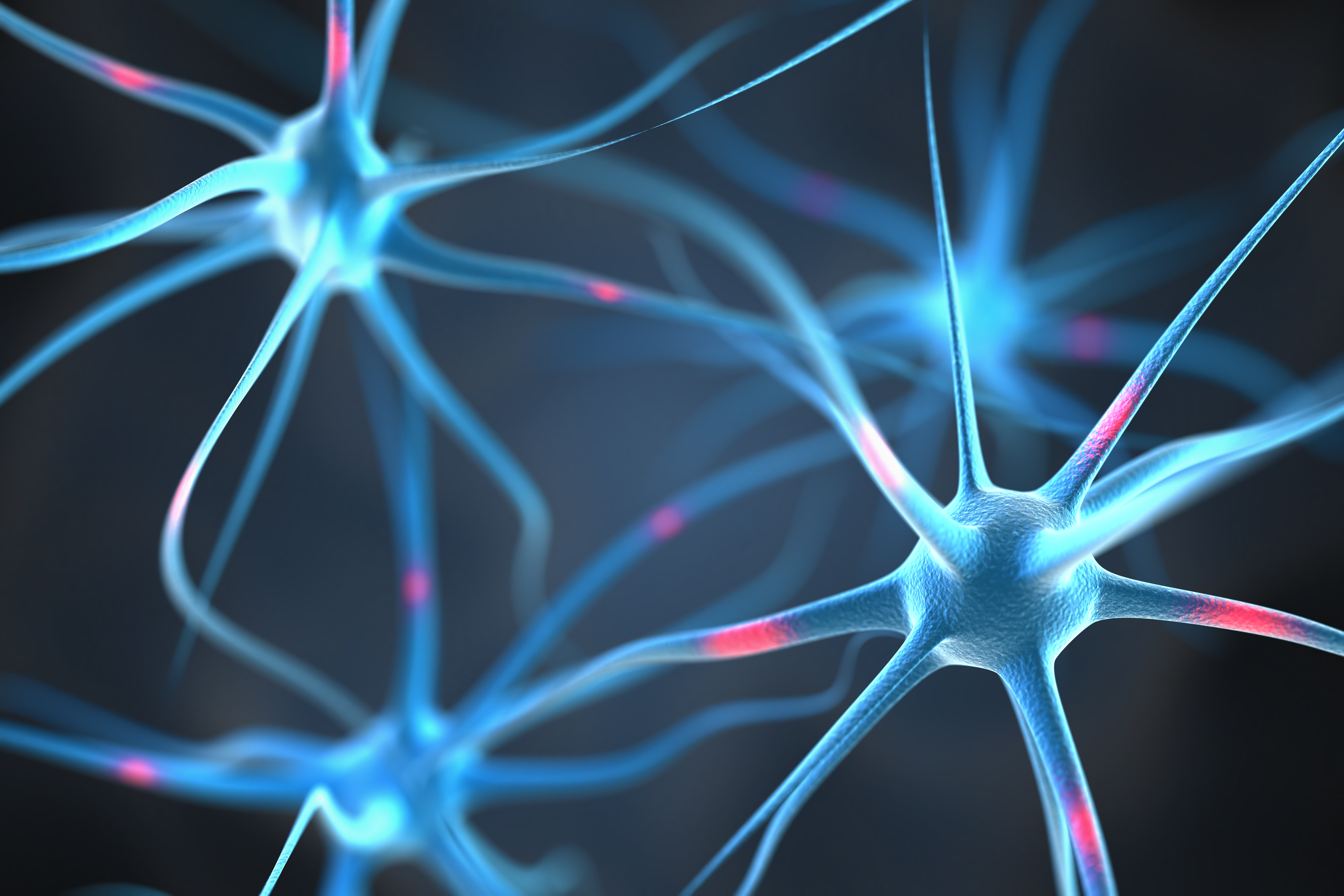 The Growth Mindset: 10 Principles to Growth