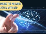 Balancing The Nervous System With Nsp Event Stevenhorne