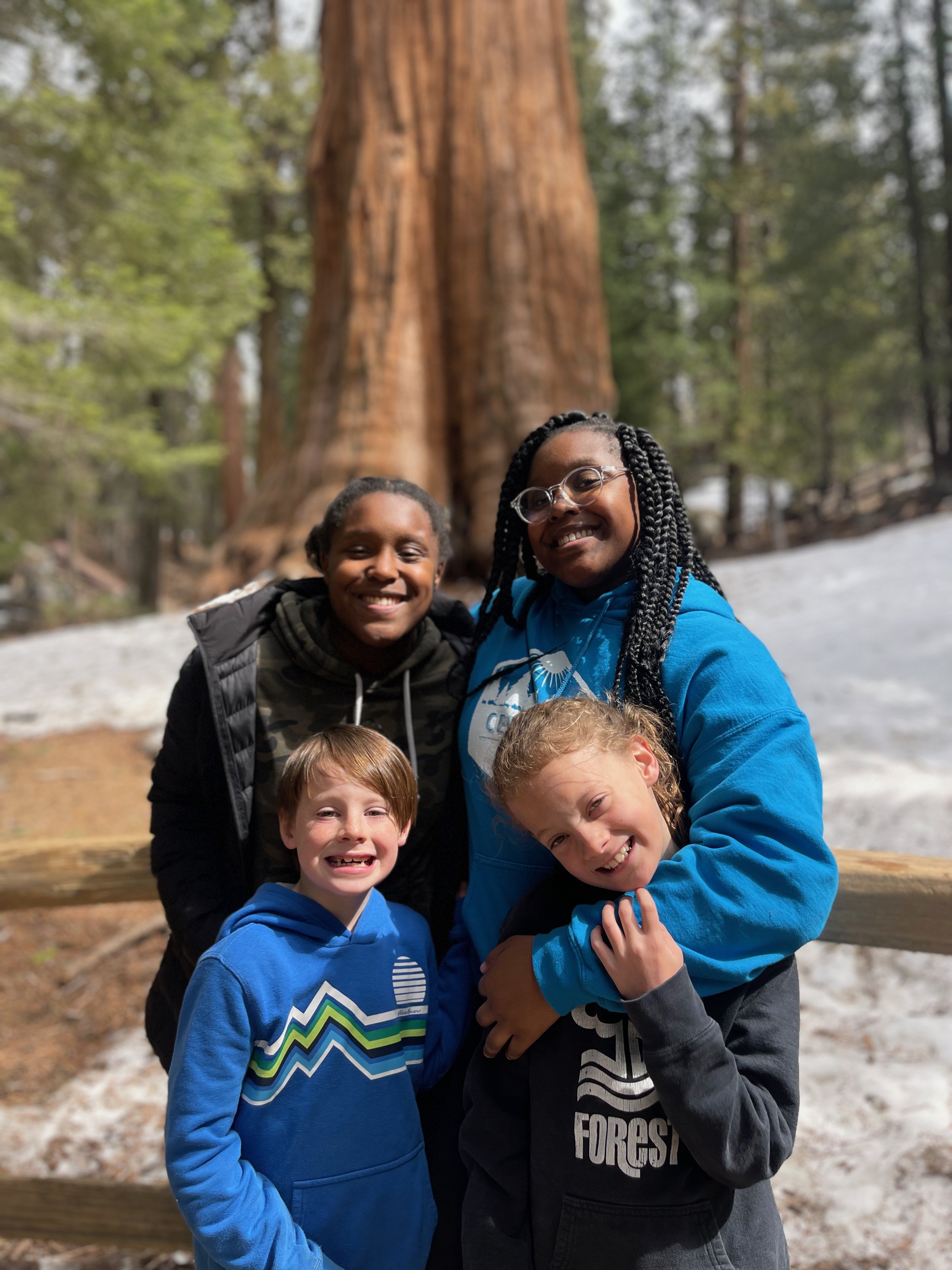 Sequoia - 7.jpeg