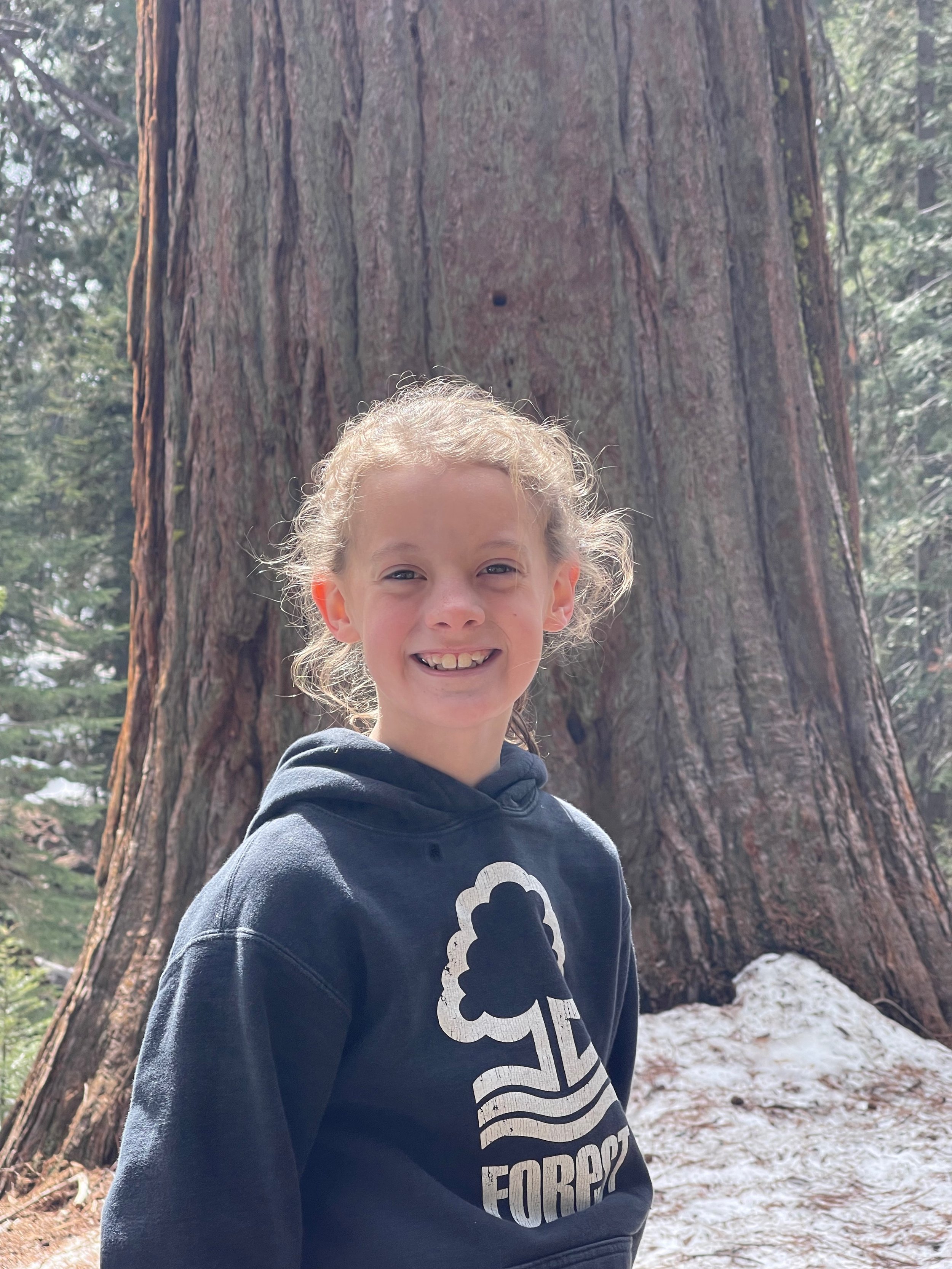 Sequoia - 9.jpeg