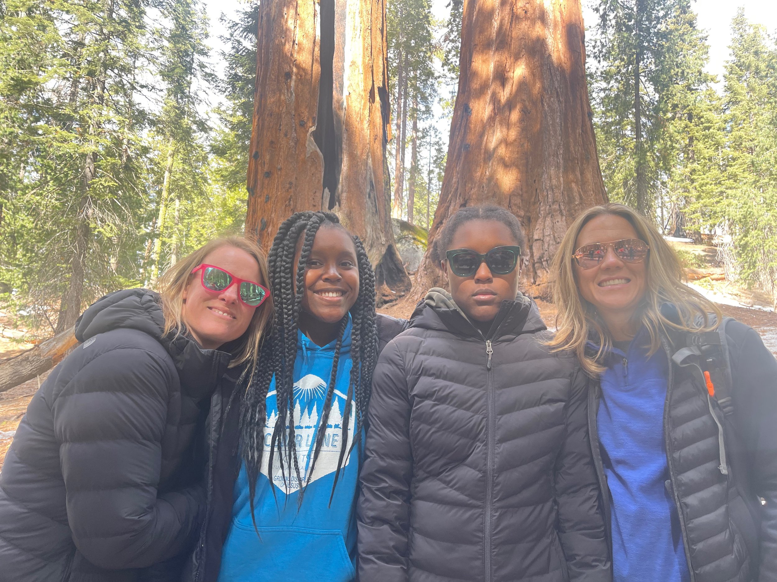 Sequoia - 1.jpeg