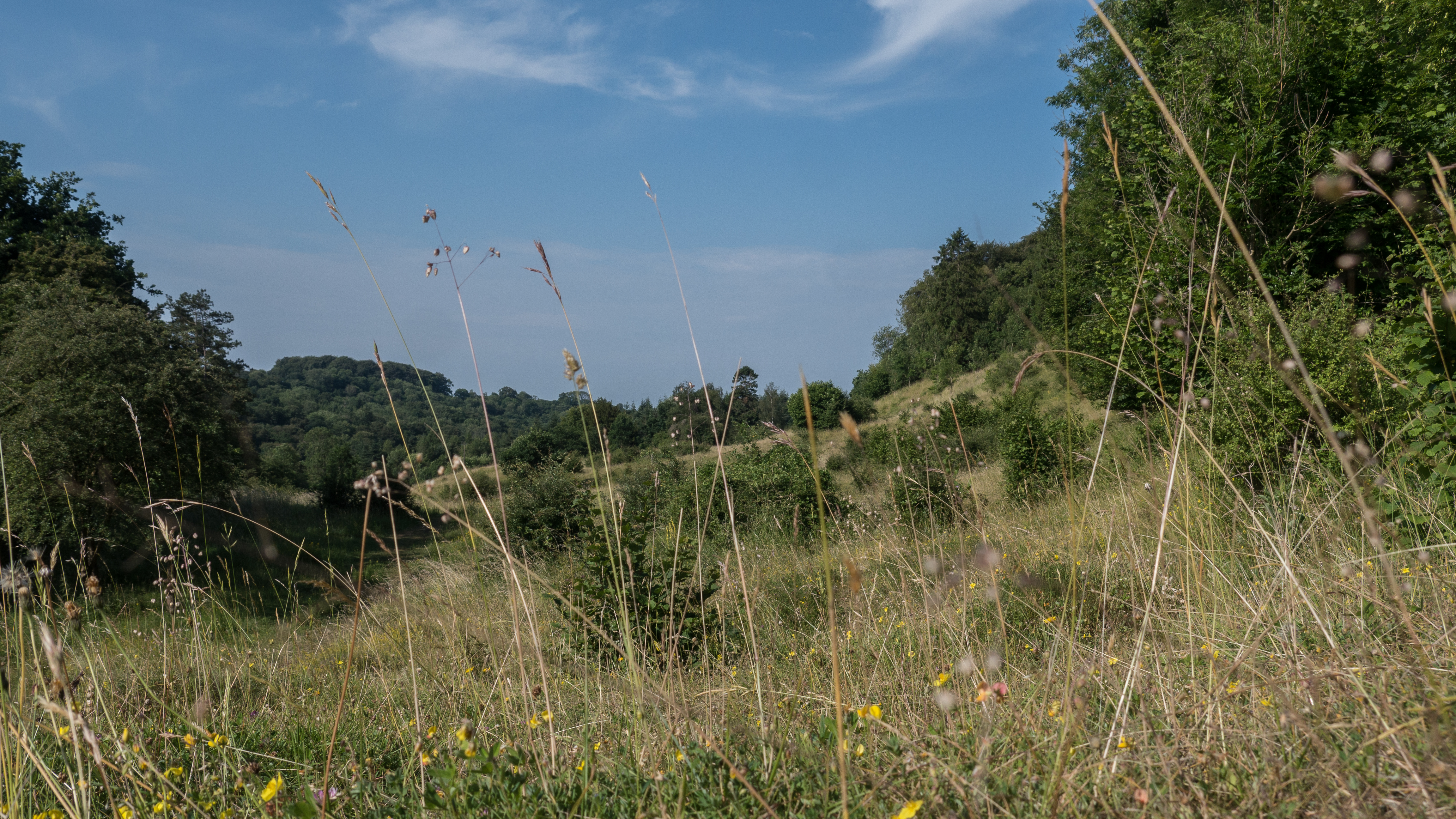 Daneway Banks
