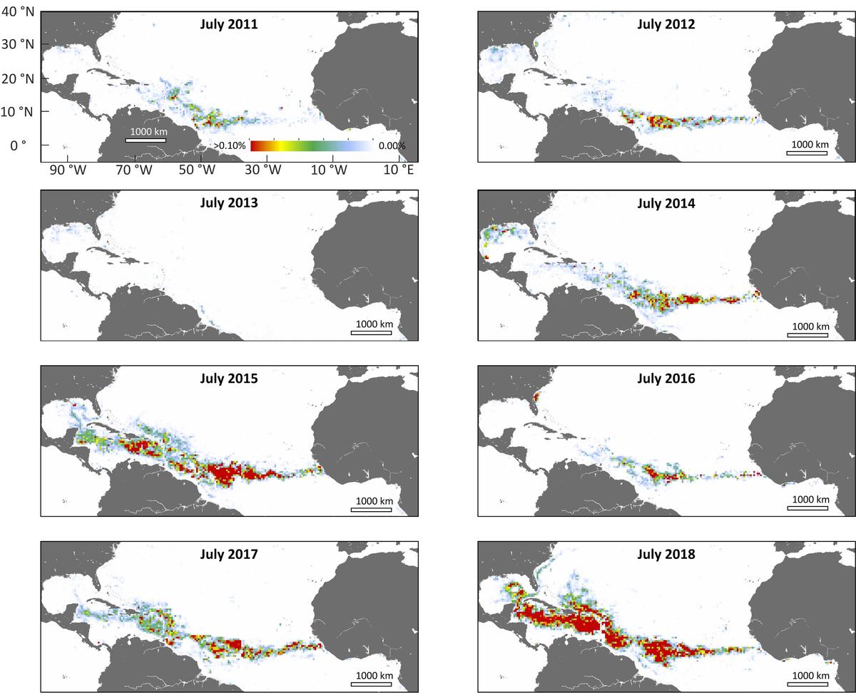 sargassum_chart