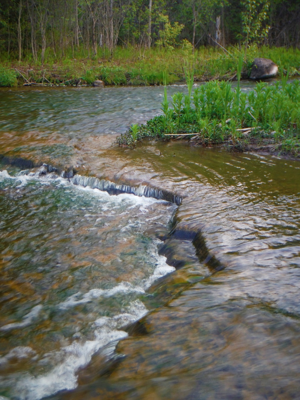 The river tumbles over a small ledge of limestone.