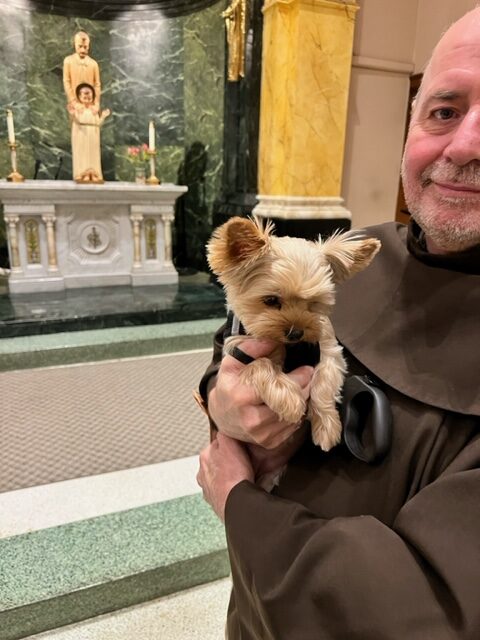 A look back at the blessing of animals