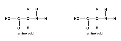 Peptide bond formation diagram