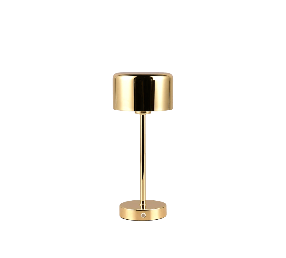 De REALITY Tafellamp JEFF heeft een modern gouden ontwerp met een cilindrische kap, slanke verticale steel en ronde metalen voet. De reflecterende afwerking en minimalistische stijl geven elke ruimte een elegante uitstraling.